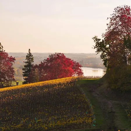 La Closerie De Fronsac Maison d'hôtes Saint-Michel-de-Fronsac