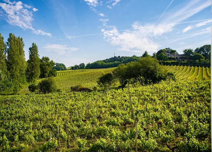 La Closerie De Fronsac Pensjonat