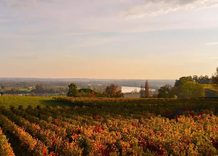 La Closerie De Fronsac 3*