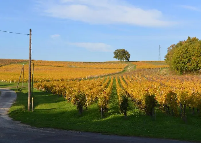 La Closerie De Fronsac Pensjonat 3*