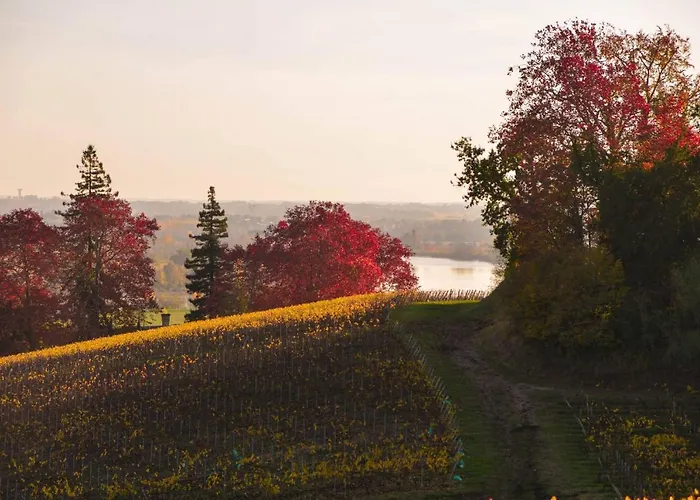 La Closerie De Fronsac Pensjonat Saint-Michel-de-Fronsac