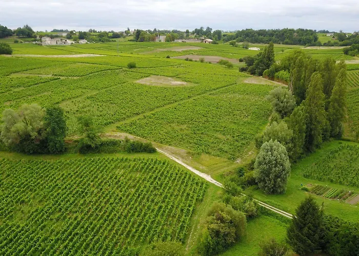 La Closerie De Fronsac Saint-Michel-de-Fronsac